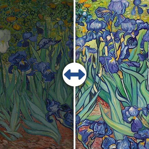 Irises (Van Gogh) 100x70cm